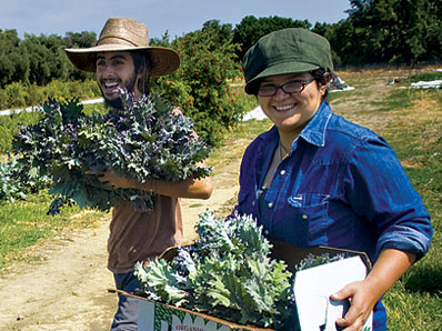 Photo: Student farm