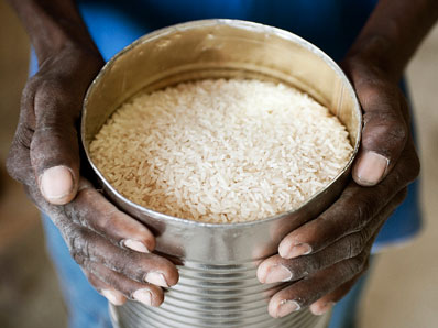 Photo: Flood resistant rice