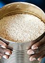 Photo: Flood resistant rice