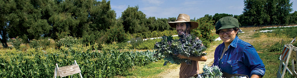 Photo: Student farm