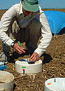 Photo: Soil testing for nitrogen content