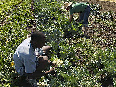 Photo: Students studing sustainable agriculture