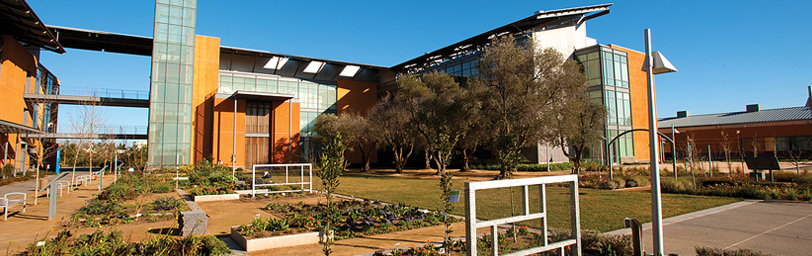 Interior courtyard of the Robert Mondavi Institute for Wine and Food Science, home of UC Davis’ new winery, brewery and food-processing complex that received official LEED Platinum certification—the highest environmental rating awarded by the U.S. Green Building Council. UC Davis strives to achieve standards equivalent to LEED Gold certification or higher whenever possible.
